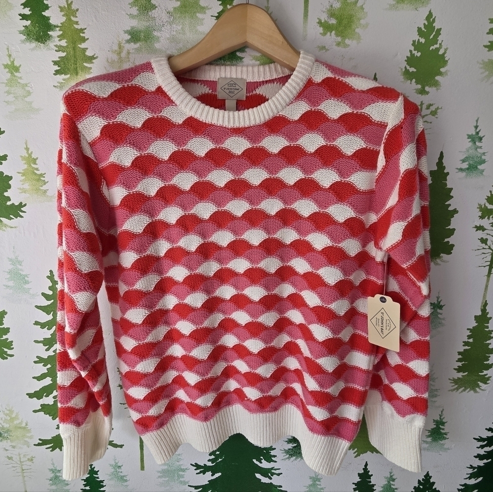 Red and Pink Wave Patterned Sweater